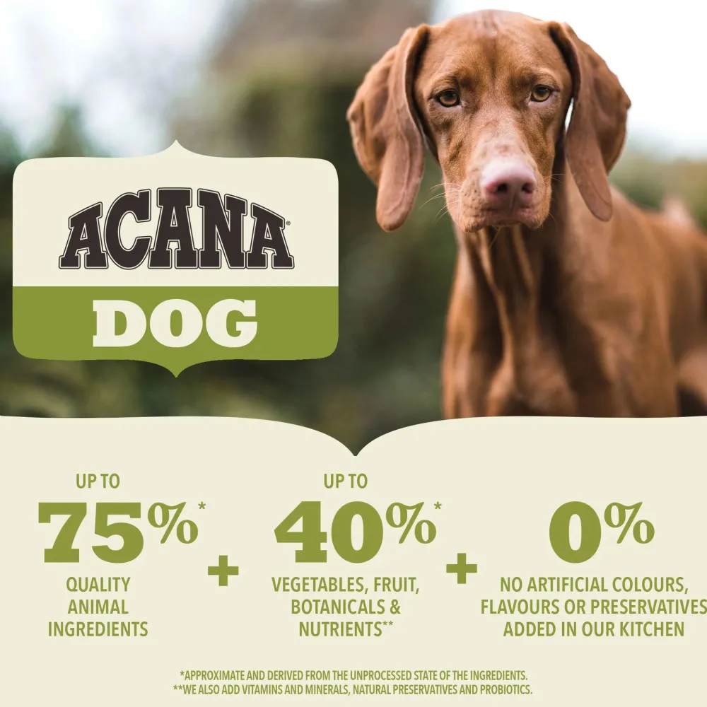 Discount Adult Small Breed Dry Dog Food Food Dry, Wet, Freeze Dried, Etc.