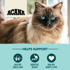Discount Premium Cat Food Bountiful Catch Recipe Dry Food Dry Cat Food