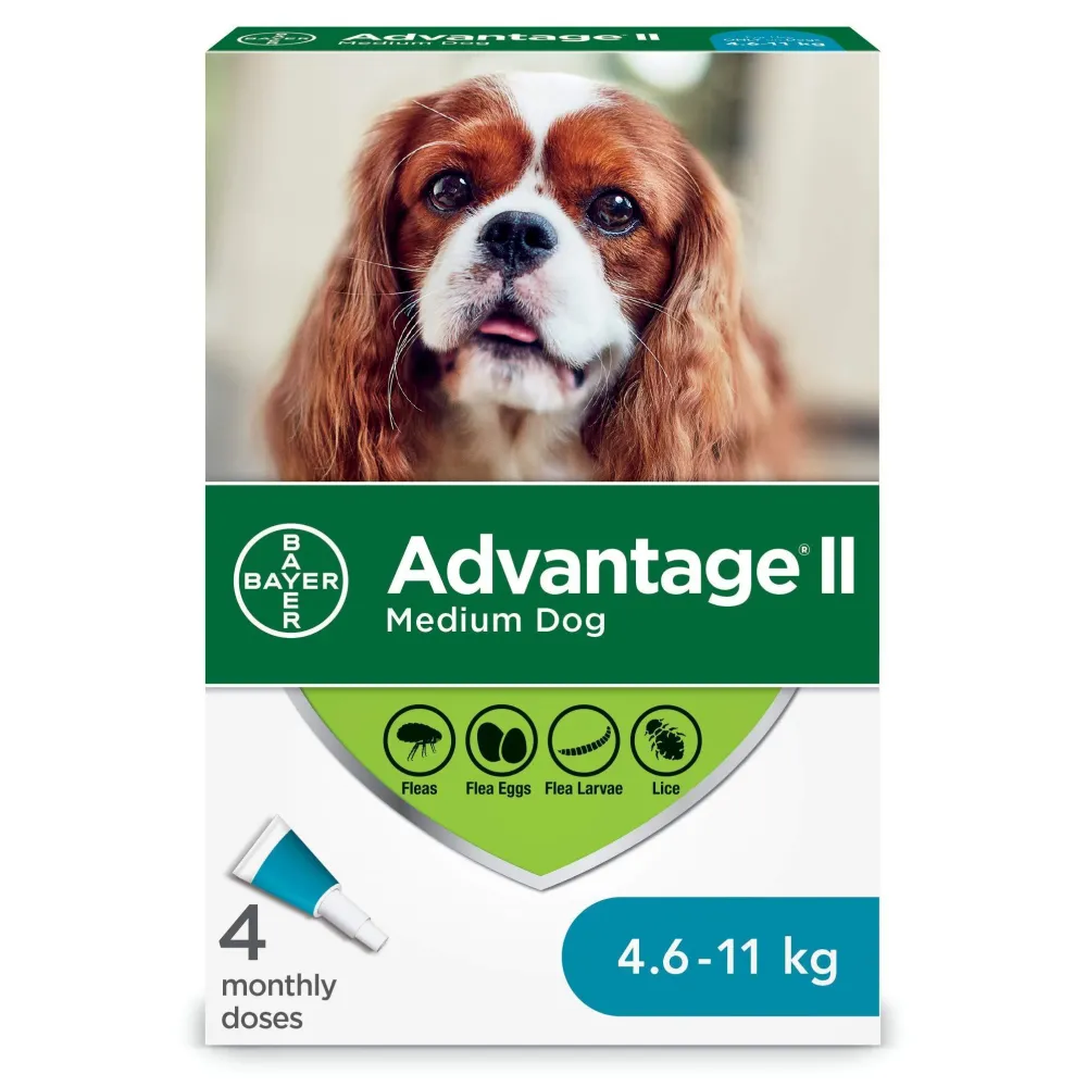 New II For Medium Dogs Supplies Leashes, Collars, Beds, Flea & Tick, Etc.