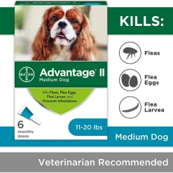 New II For Medium Dogs Supplies Leashes, Collars, Beds, Flea & Tick, Etc.