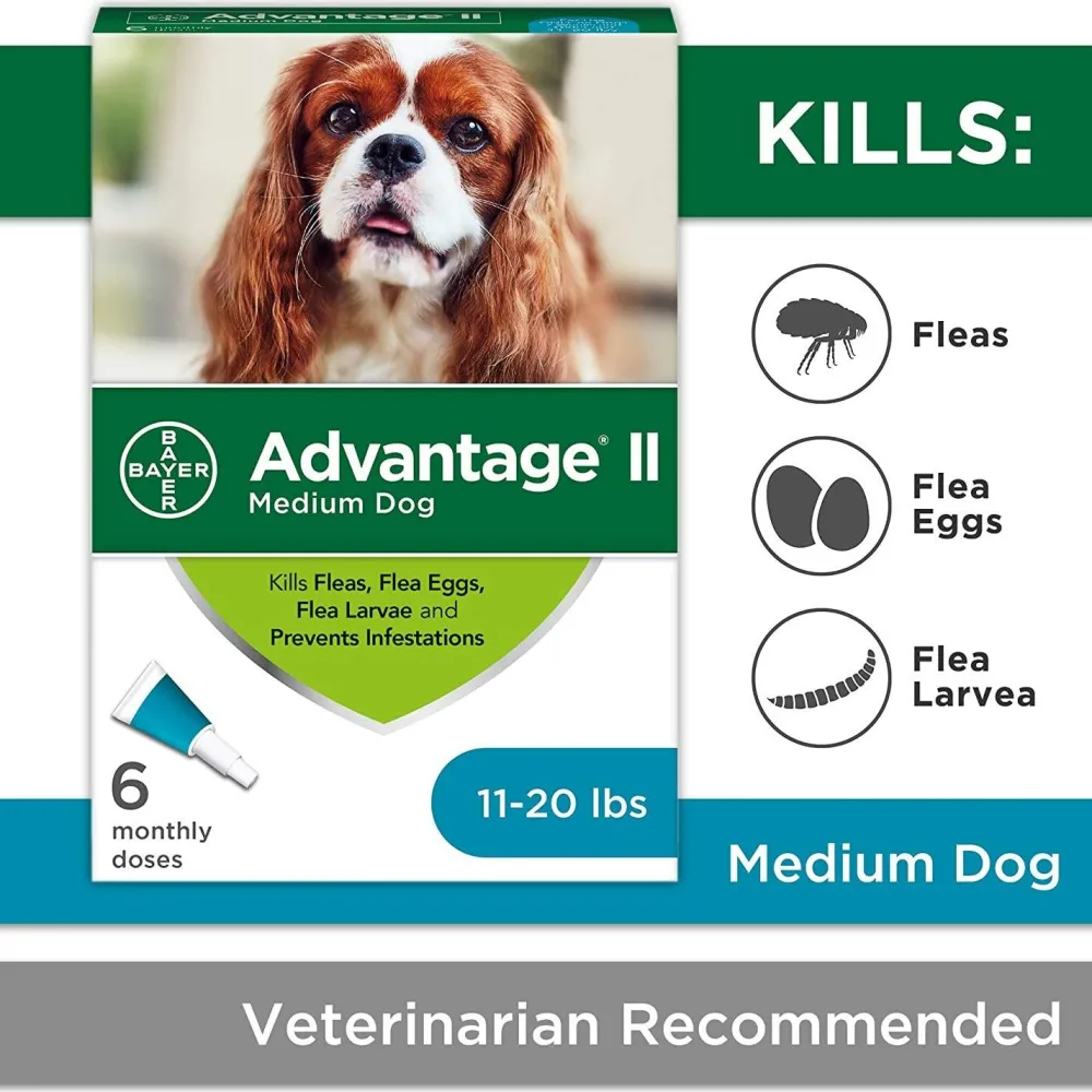 New II For Medium Dogs Supplies Leashes, Collars, Beds, Flea & Tick, Etc.