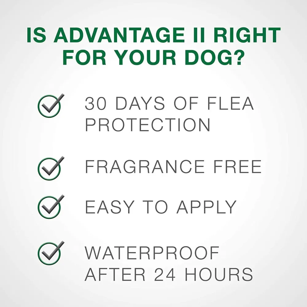 New II For Medium Dogs Supplies Leashes, Collars, Beds, Flea & Tick, Etc.