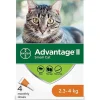 Fashion II For Small Cats Supplies Collars, Scratchers, Toys, Etc.