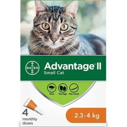 Fashion II For Small Cats Supplies Collars, Scratchers, Toys, Etc.