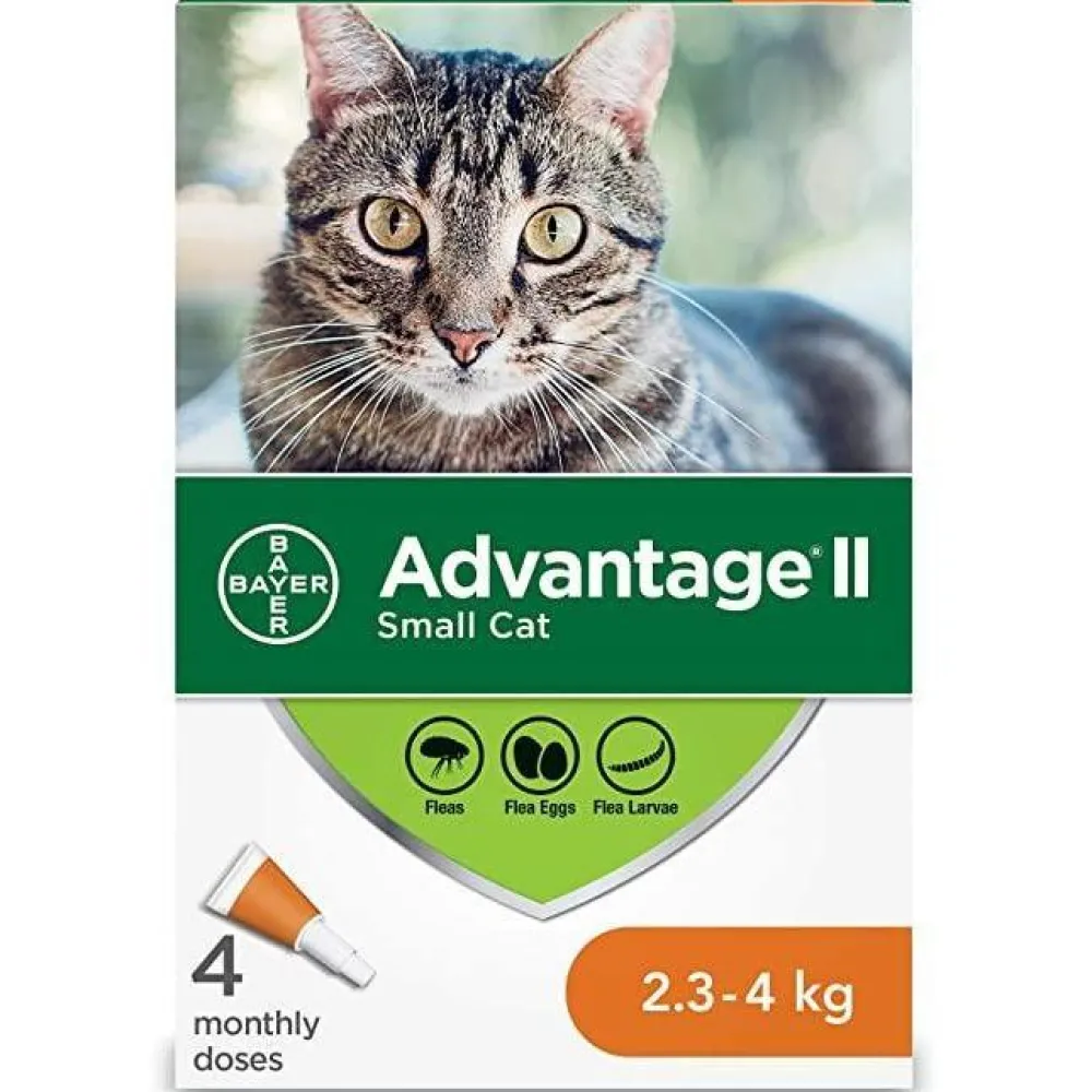 Fashion II For Small Cats Supplies Collars, Scratchers, Toys, Etc.