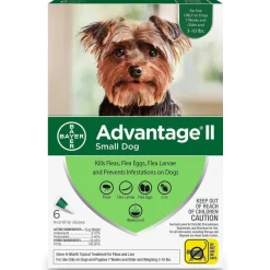 Best II For Small Dogs Supplies Leashes, Collars, Beds, Flea & Tick, Etc.