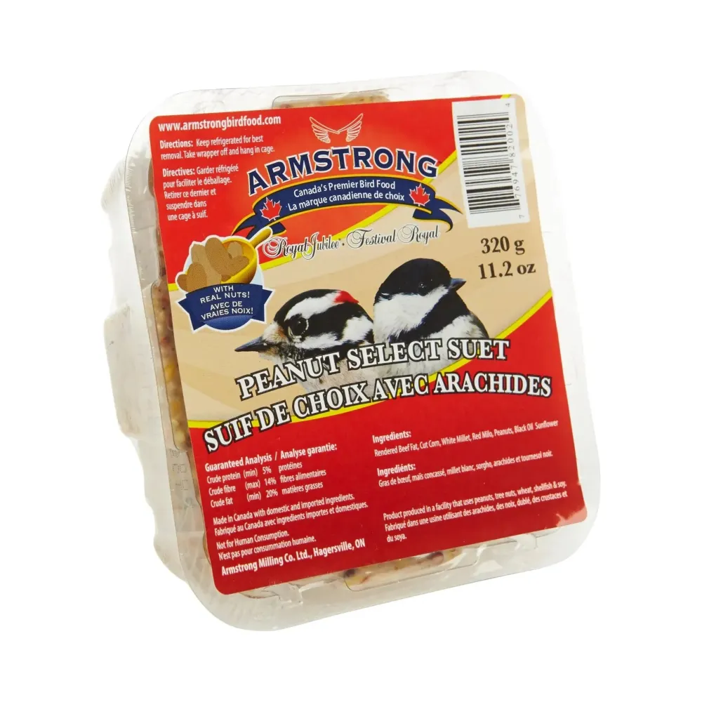 Clearance Peanut Select Suet Shop Bird Find All Of The Essentials