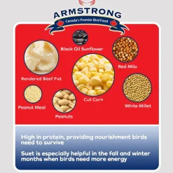 Clearance Peanut Select Suet Shop Bird Find All Of The Essentials