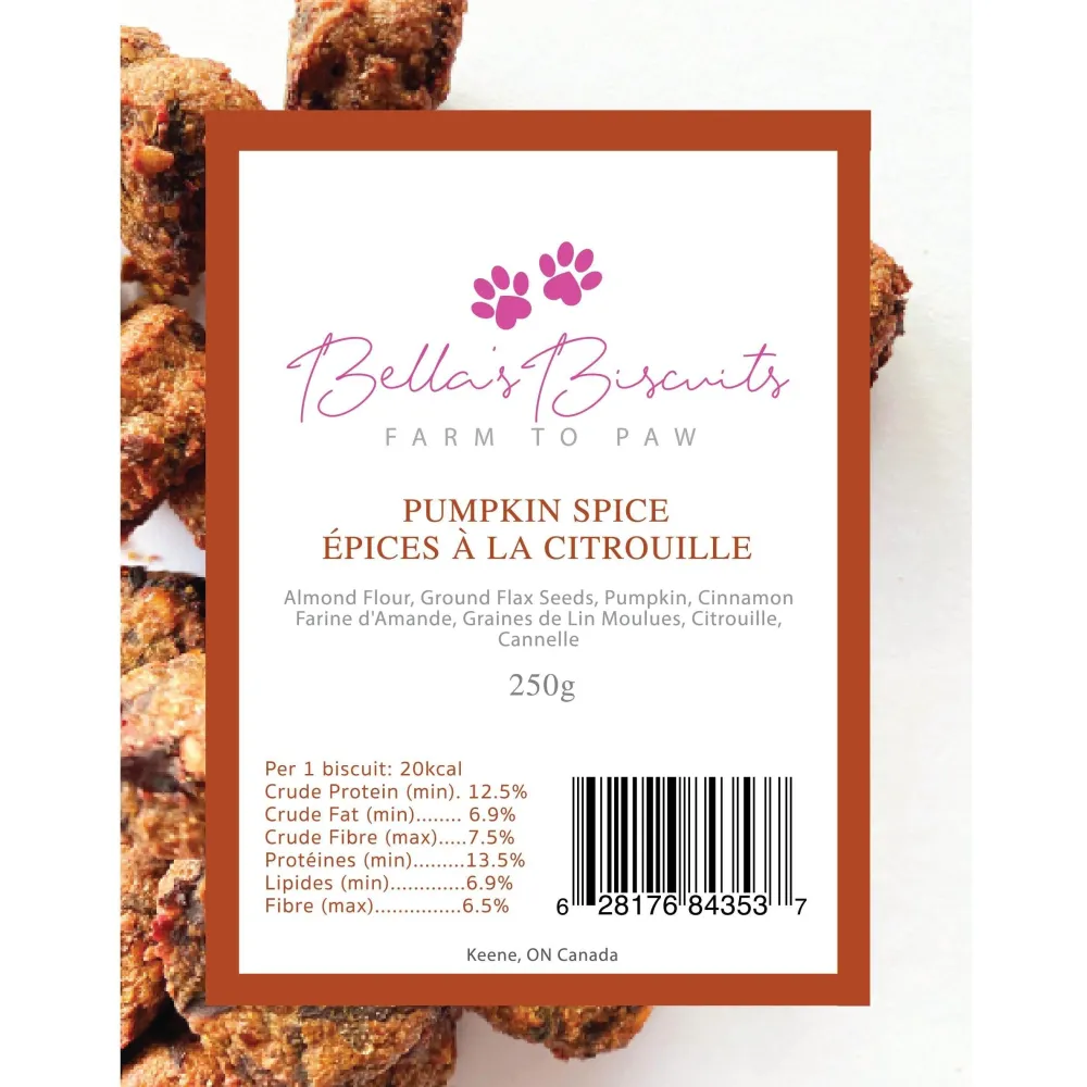 Hot Pumpkin Spice Dog Treats Treats Treats & Chews