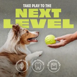 Hot Natural Rubber Ball Dog Toy Supplies Leashes, Collars, Beds, Flea & Tick, Etc. | Toys Interactive, Plush, Etc.