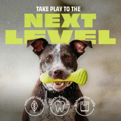 Online Natural Rubber Bone Dog Toys Supplies Leashes, Collars, Beds, Flea & Tick, Etc. | Toys Interactive, Plush, Etc.