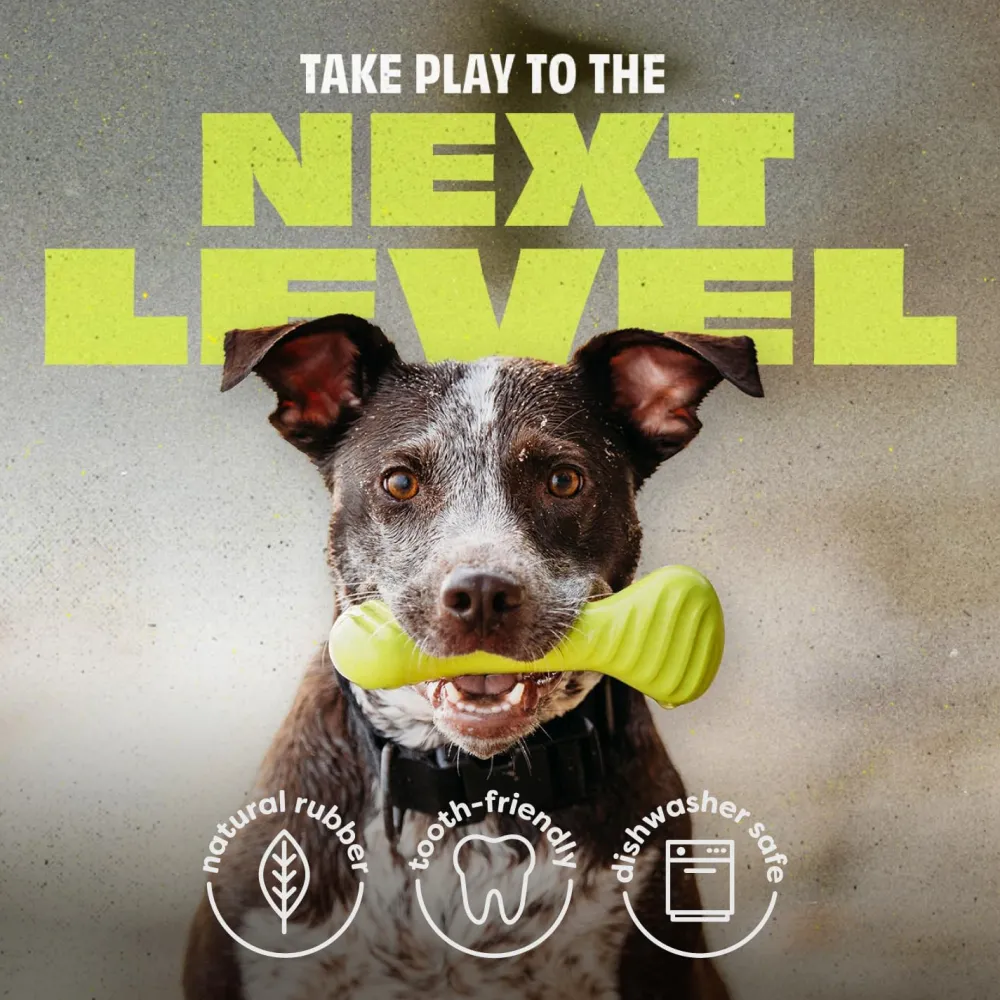 Online Natural Rubber Bone Dog Toys Supplies Leashes, Collars, Beds, Flea & Tick, Etc. | Toys Interactive, Plush, Etc.