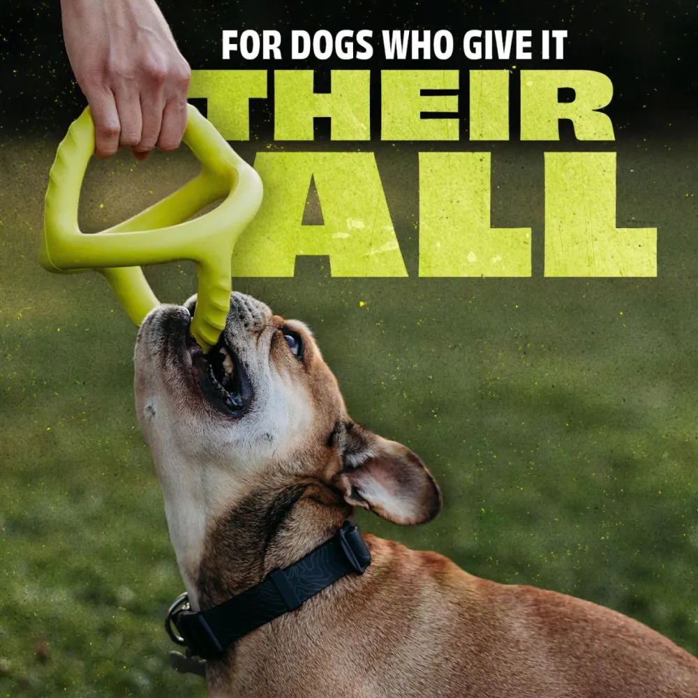 Sale Natural Rubber Tug Dog Toy Supplies Leashes, Collars, Beds, Flea & Tick, Etc. | Toys Interactive, Plush, Etc.