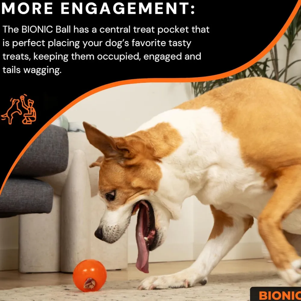 Online Rubber Ball Dog Toy Supplies Leashes, Collars, Beds, Flea & Tick, Etc. | Toys Interactive, Plush, Etc.