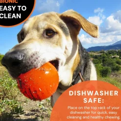 Online Rubber Ball Dog Toy Supplies Leashes, Collars, Beds, Flea & Tick, Etc. | Toys Interactive, Plush, Etc.