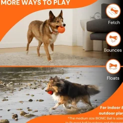 Online Rubber Ball Dog Toy Supplies Leashes, Collars, Beds, Flea & Tick, Etc. | Toys Interactive, Plush, Etc.