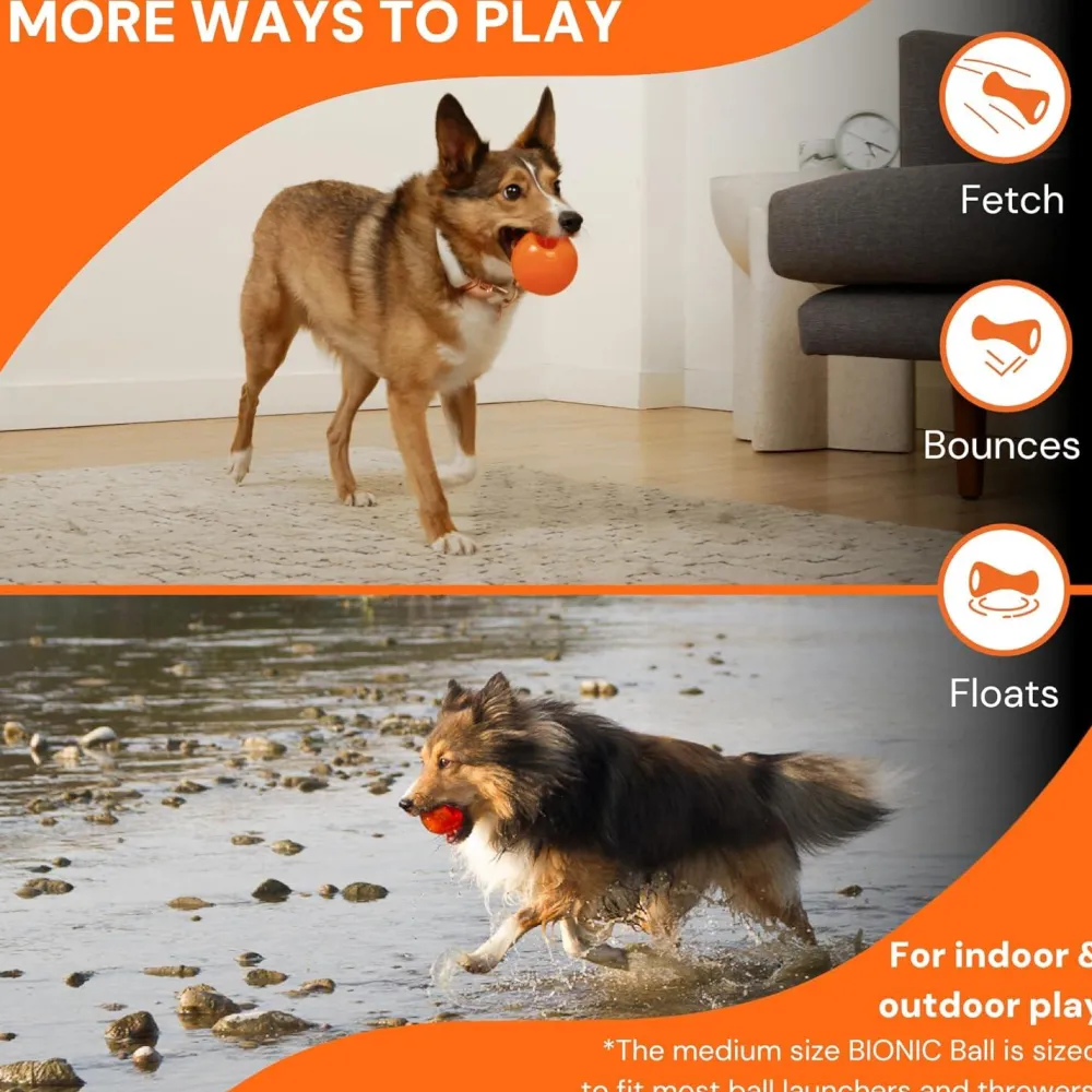 Online Rubber Ball Dog Toy Supplies Leashes, Collars, Beds, Flea & Tick, Etc. | Toys Interactive, Plush, Etc.