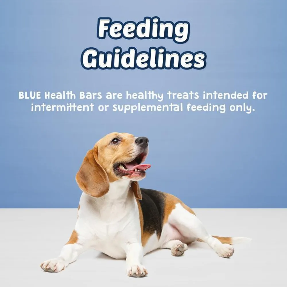 Clearance Health Bars Pumpkin & Cinnamon Treats Treats & Chews