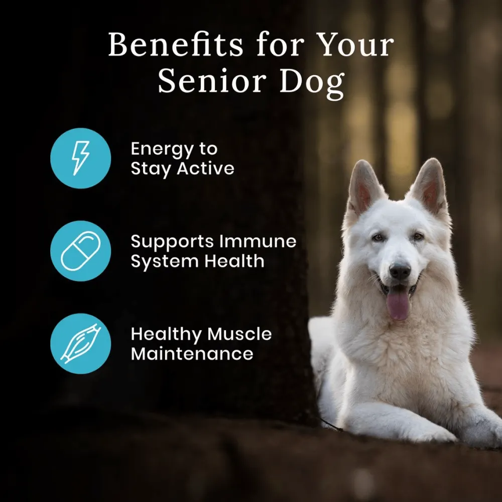 Clearance Wilderness Senior Dog Food Food Dry, Wet, Freeze Dried, Etc.