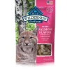 Online Blue Wilderness Salmon Flavor Crunchy Treats Treats Crunchy, Soft, Lickable, Etc.