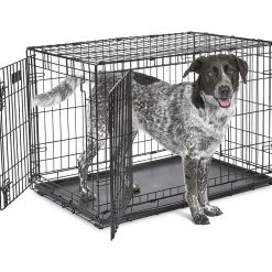 Fashion Deluxe Dog Crate With Double Door Supplies Leashes, Collars, Beds, Flea & Tick, Etc.