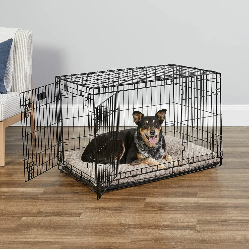 Fashion Deluxe Dog Crate With Double Door Supplies Leashes, Collars, Beds, Flea & Tick, Etc.