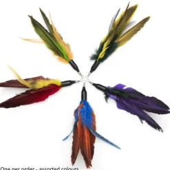 Online Duck Fly Attachment Supplies Collars, Scratchers, Toys, Etc.