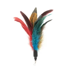 Discount Rooster Fly Attachment Supplies Collars, Scratchers, Toys, Etc.