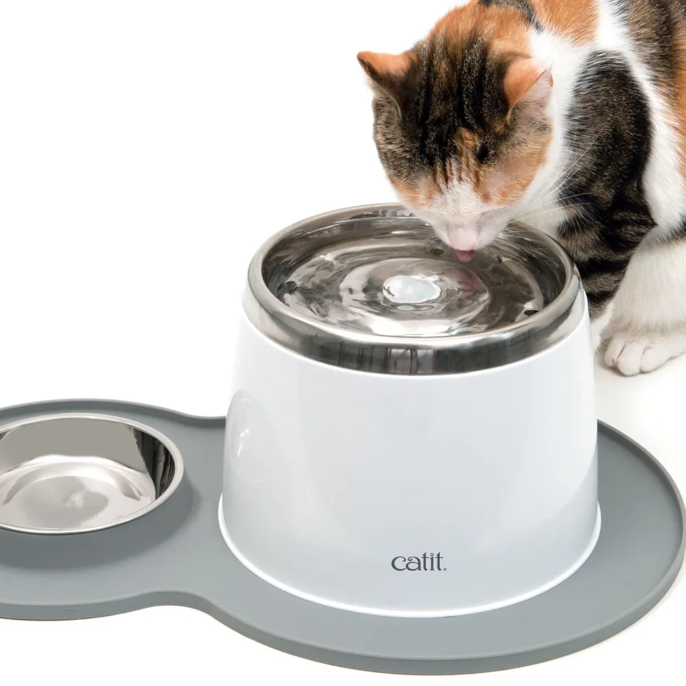 Clearance 2.0 Play Peanut Placement Supplies Collars, Scratchers, Toys, Etc.