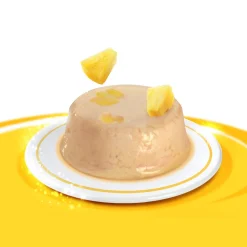 Clearance Creamy Cups Chicken Mousse with Pineapple Treats Crunchy, Soft, Lickable, Etc.