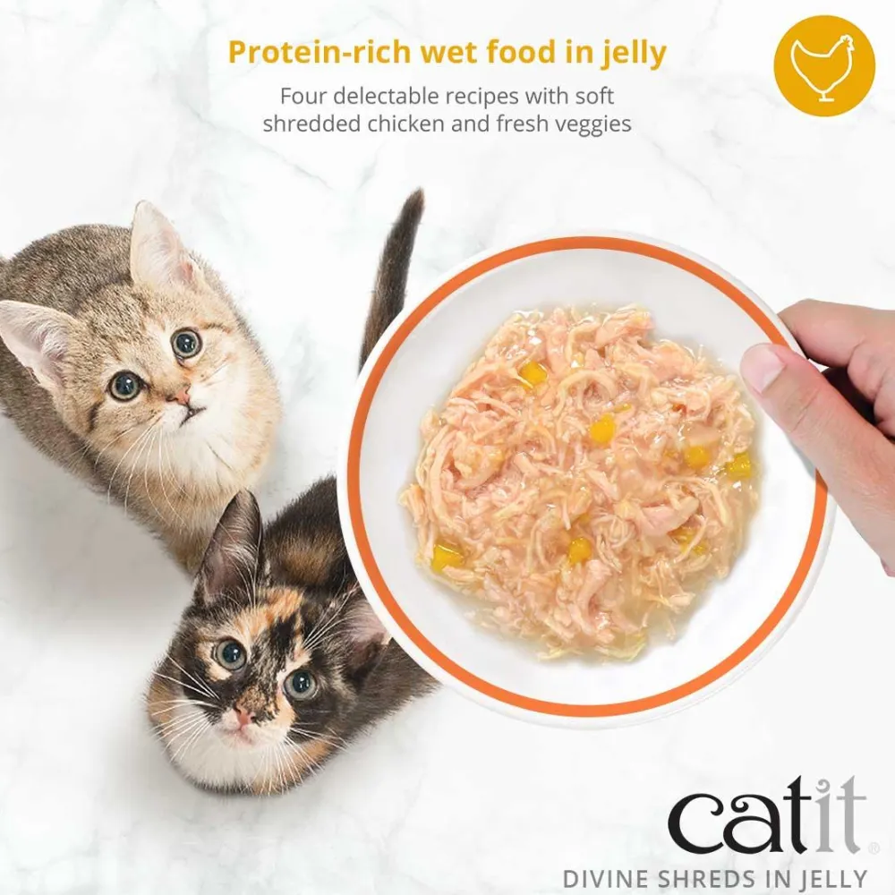 Outlet Divine Shreds Chicken, Mackerel & Broccoli In Jelly 4 Pack Wet Food Cans, Pouches, Tetra Paks, Etc.