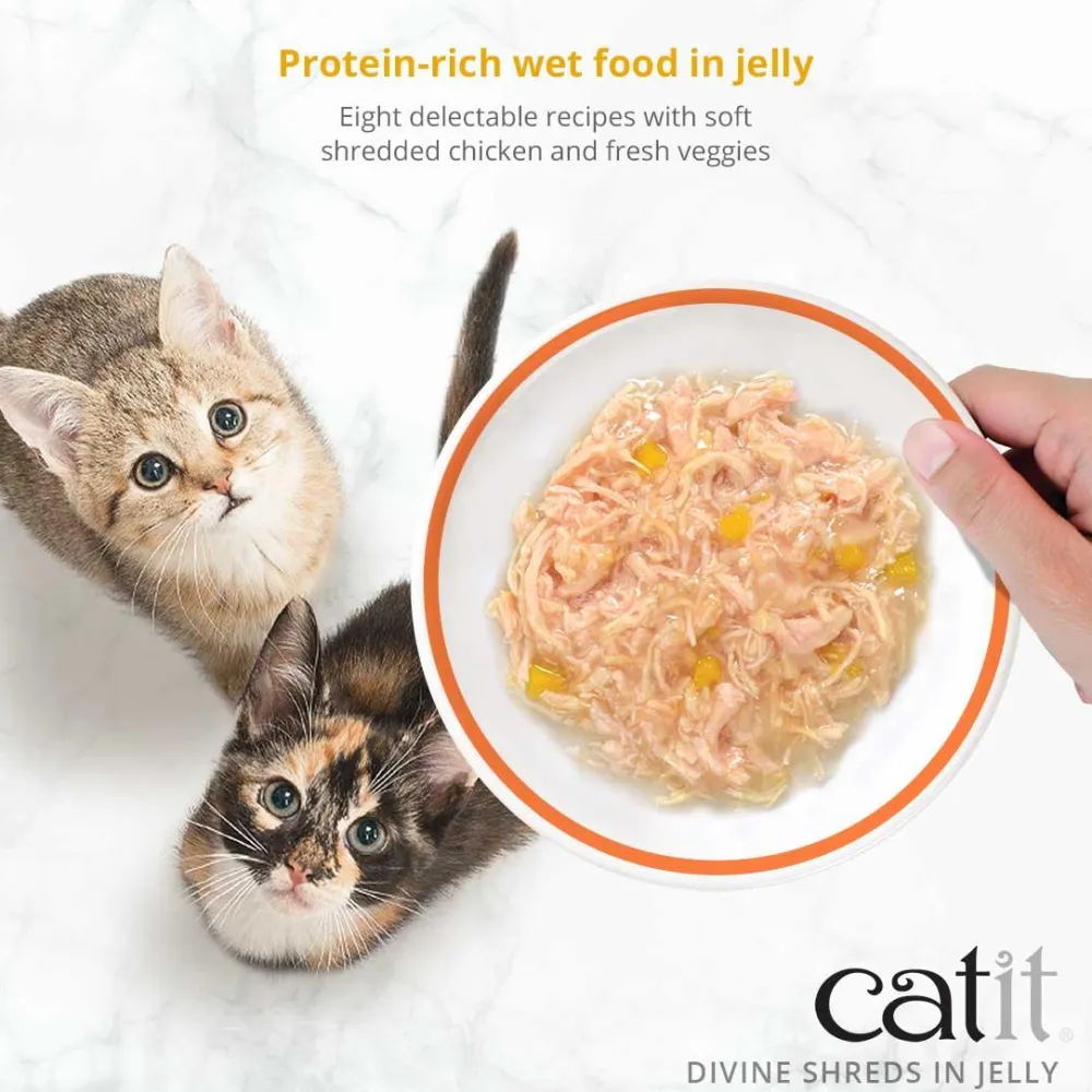 Best Divine Shreds Chicken In Jelly Multipack Wet Food Cans, Pouches, Tetra Paks, Etc.