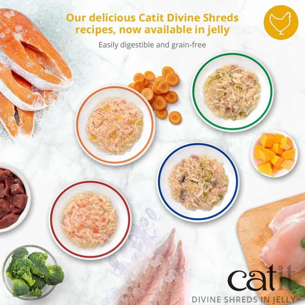 Outlet Divine Shreds Chicken, Mackerel & Broccoli In Jelly 4 Pack Wet Food Cans, Pouches, Tetra Paks, Etc.