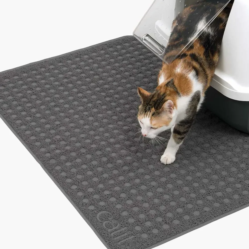 Outlet Litter Mat Supplies Collars, Scratchers, Toys, Etc.