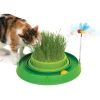 Hot Play Grass, Bee, And Ball Supplies Collars, Scratchers, Toys, Etc.