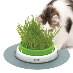 Outlet Senses 2.0 Grass Planter Supplies Collars, Scratchers, Toys, Etc.