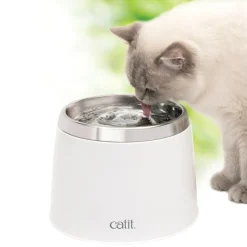 Fashion Stainless Steel Top Drinking Fountain Supplies Collars, Scratchers, Toys, Etc.