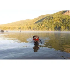 Online Chuck It Amphibious Bumper Supplies Leashes, Collars, Beds, Flea & Tick, Etc. | Toys Interactive, Plush, Etc.