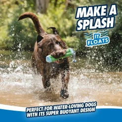 New Chuck It Amphibious Bumper Supplies Leashes, Collars, Beds, Flea & Tick, Etc. | Toys Interactive, Plush, Etc.