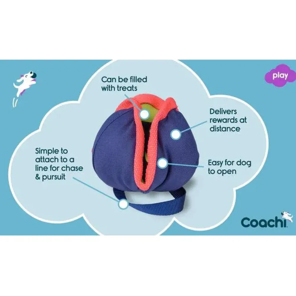 Discount Chase & Treat Navy, Coral & Coral Supplies Leashes, Collars, Beds, Flea & Tick, Etc.