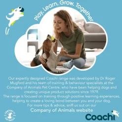 Best Toilet Training Bells Supplies Leashes, Collars, Beds, Flea & Tick, Etc.