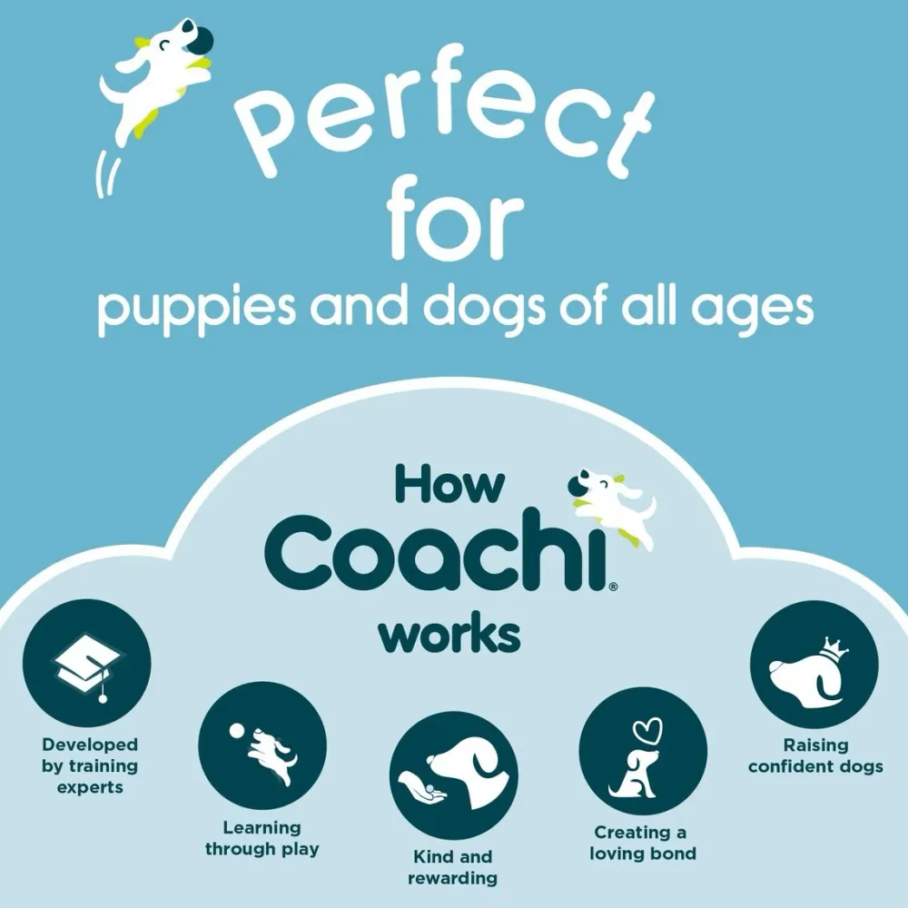 Best Toilet Training Bells Supplies Leashes, Collars, Beds, Flea & Tick, Etc.