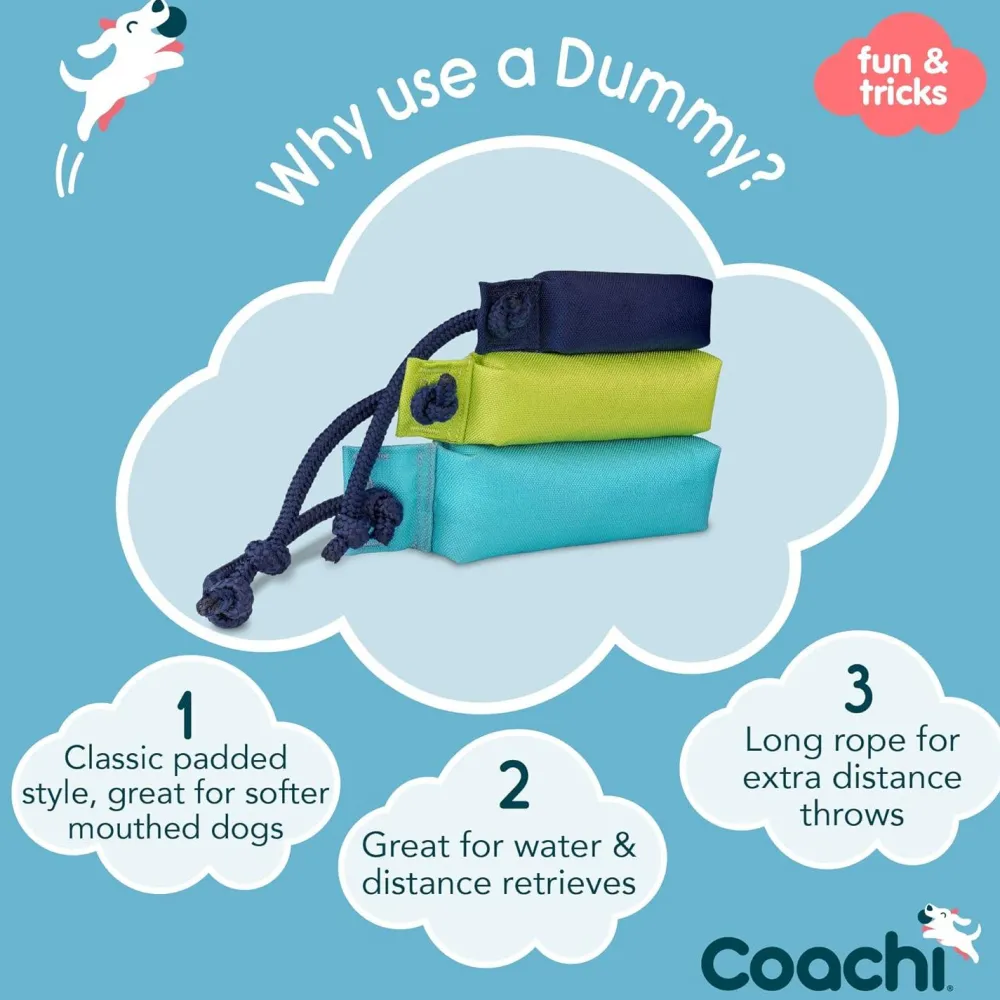 Fashion Training Dummy Supplies Leashes, Collars, Beds, Flea & Tick, Etc.