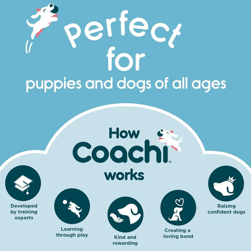 Fashion Training Dummy Supplies Leashes, Collars, Beds, Flea & Tick, Etc.