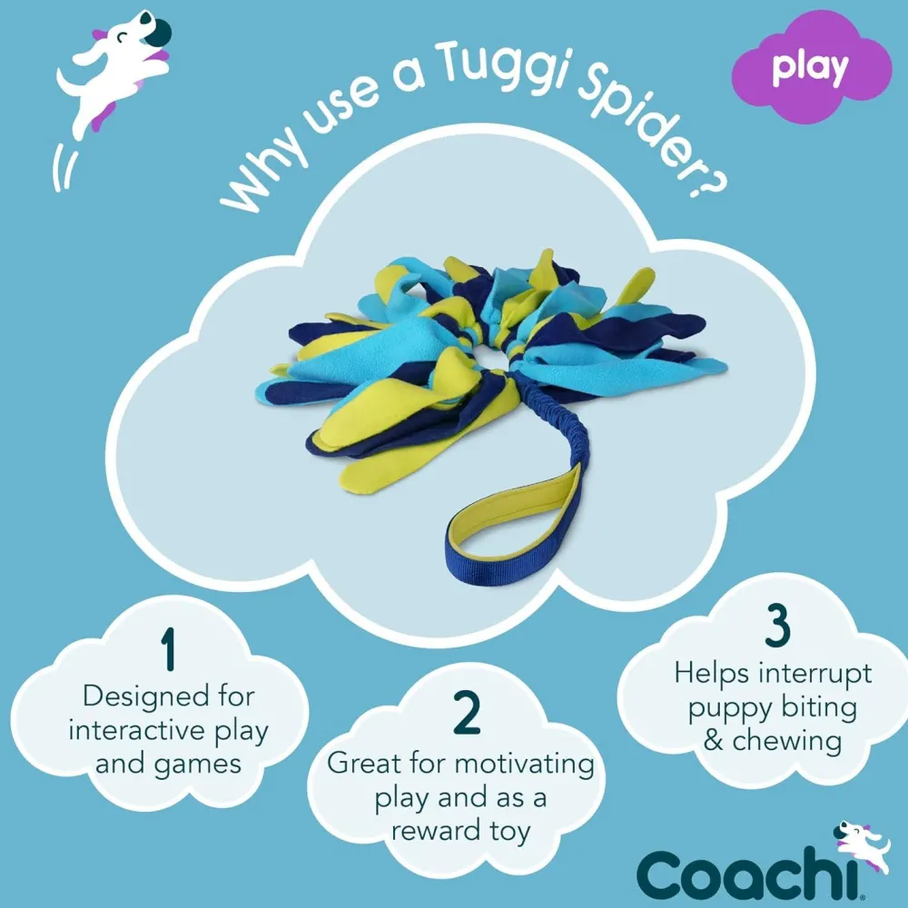 Hot Tuggi Spider Supplies Leashes, Collars, Beds, Flea & Tick, Etc.