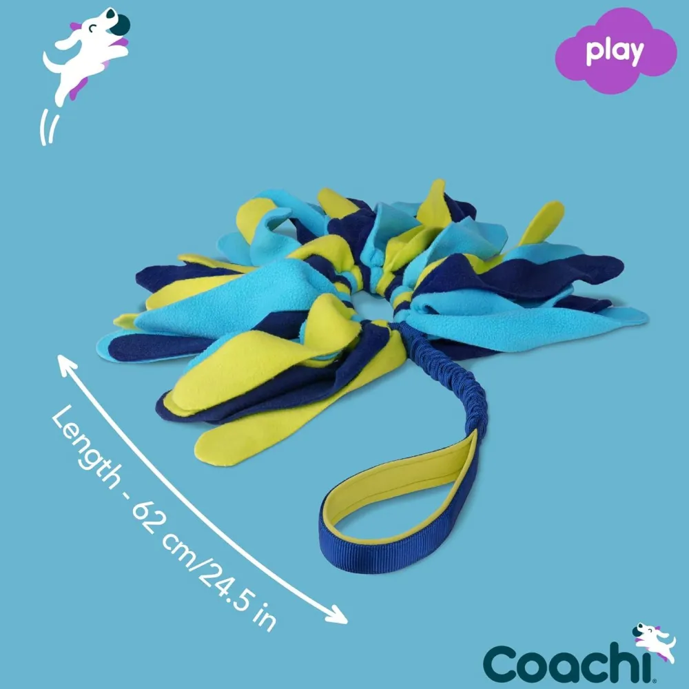 Hot Tuggi Spider Supplies Leashes, Collars, Beds, Flea & Tick, Etc.