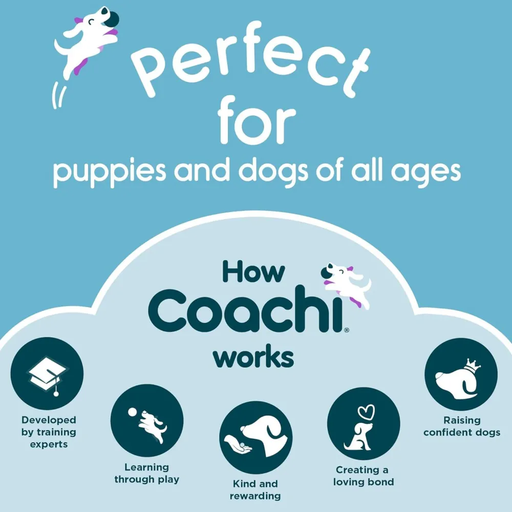 Hot Tuggi Spider Supplies Leashes, Collars, Beds, Flea & Tick, Etc.