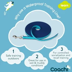 Fashion Waterproof Training Line Navy & Light Blue Supplies Leashes, Collars, Beds, Flea & Tick, Etc.