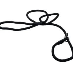 Best Coastal Rope Slip Lead For Dogs Supplies Leashes, Collars, Beds, Flea & Tick, Etc.