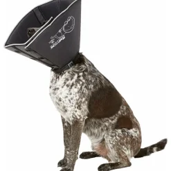 Best E-Collar for Dogs & Cats, Black Supplies Leashes, Collars, Beds, Flea & Tick, Etc.